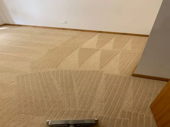 Carpet Cleaning Melton